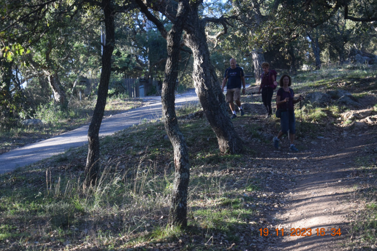 Dimanche 19.11.2023 / Les moulins de Ramatuelle