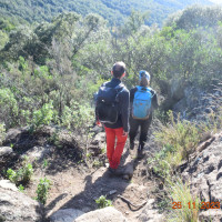 Dimanche 26.11.2023 / Les terrasses de Bormes avec Annie