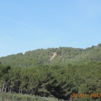 Dimanche 28 janvier 2024 / Les sables de Saint-Cyr