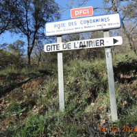 Mercredi 14.02.2024 - La forêt de l'Argentière avec Jean Louis