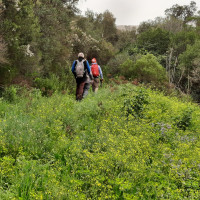 Samedi 30.03.2024 / Le Signau du Clau de Barrau avec le CDRP83