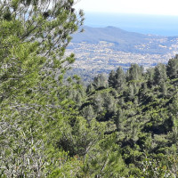 Mercredi 11.05.2024 / Les fours à cade du Revers de Boquié