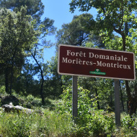 Me 12.06.2024 / Le long du Gapeau avec Josette