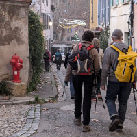 Mercredi 04.12.2024 / Les hauts de Méounes